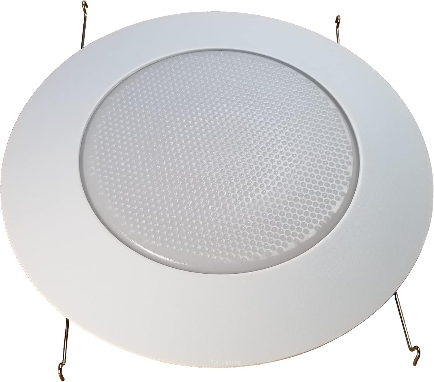 LED Music Ceiling Light with Bluetooth Speaker - ZN-24HCXD-GS-Y