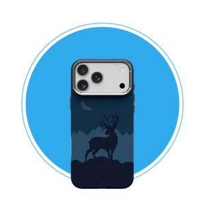 iPhone 17 Series Cases