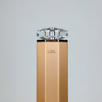 LZEL Aroma Diffuser Aromavista Essence Premium Scent Diffuser Led Display - Cold Air Diffusion Tech - 120 Ml