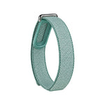 Google Fitbit Air Band