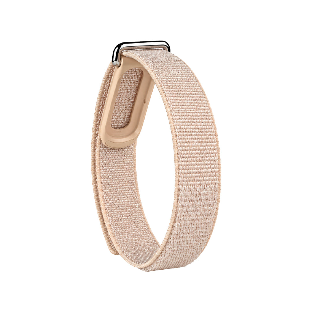 Google Fitbit Air Band