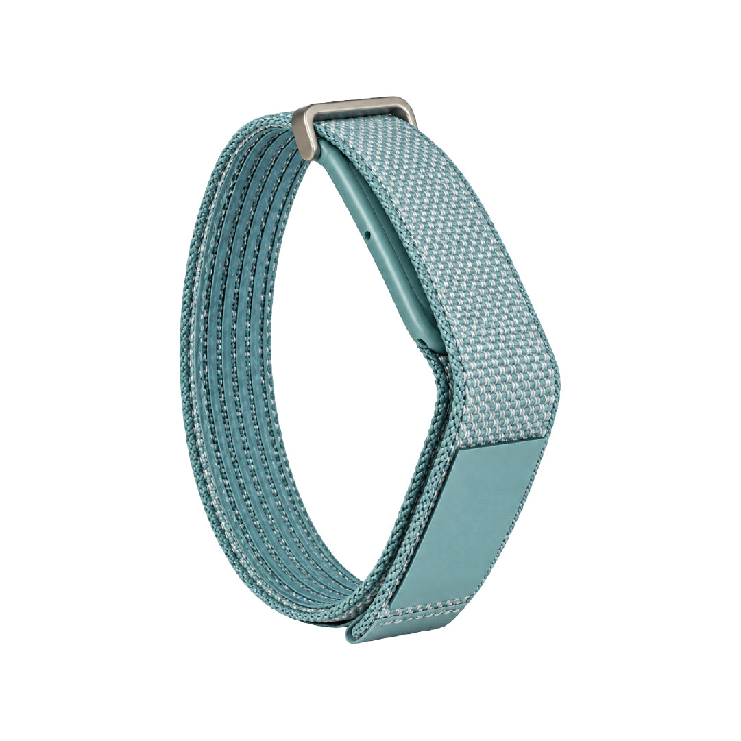 Google Fitbit Air Band