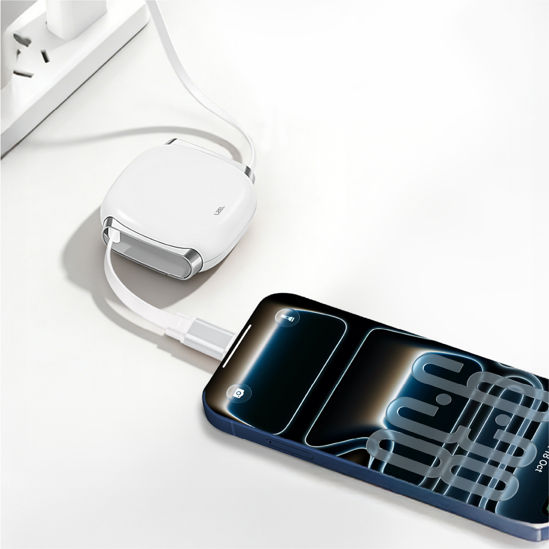 LZEL Fluxlink 100 USB-C 100W Fast Charging Cable With Data Transfer