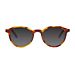 Barner Sunglasses Williamsburg Sun Havana - (492570)