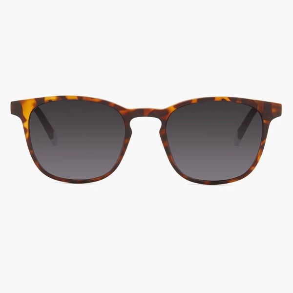 Barner Dalston Tortoise Sunglasses