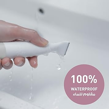 نص بديل للصورة