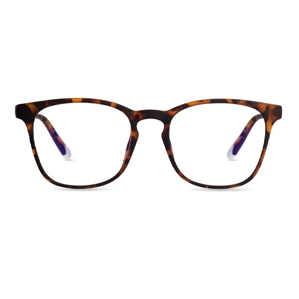 Barner Dalstons Screen Glasses Kids | Tortoise