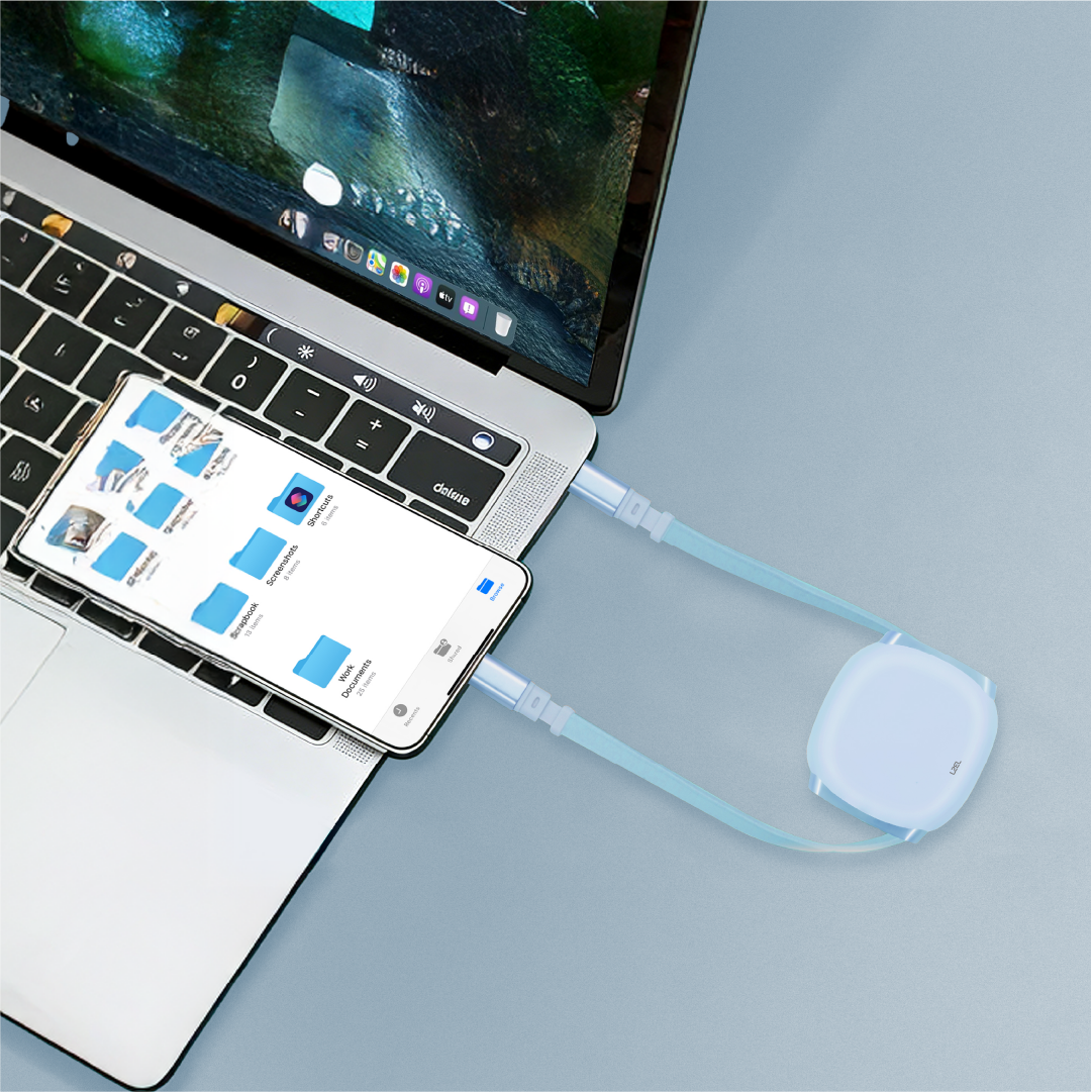 LZEL Fluxlink 100 USB-C 100W Fast Charging Cable With Data Transfer