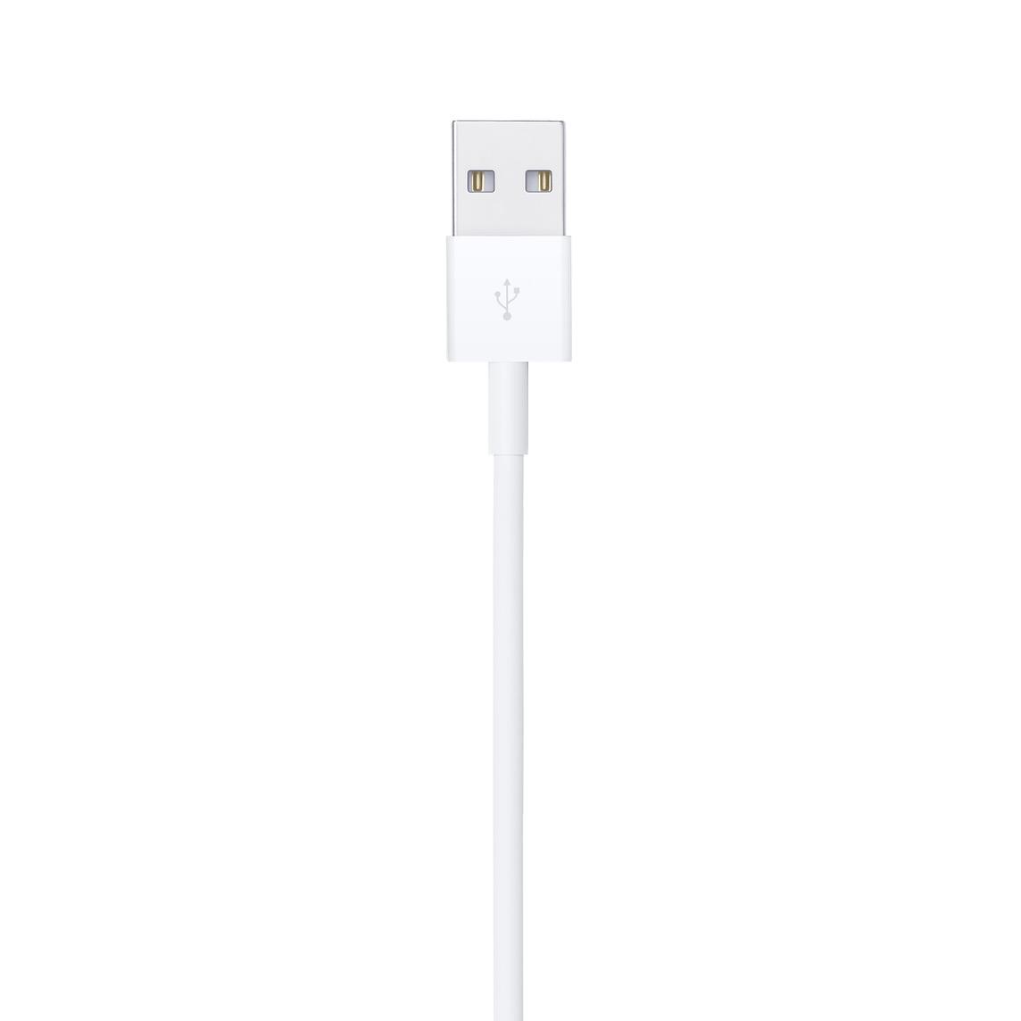 Apple Lightning to USB Cable 1M
