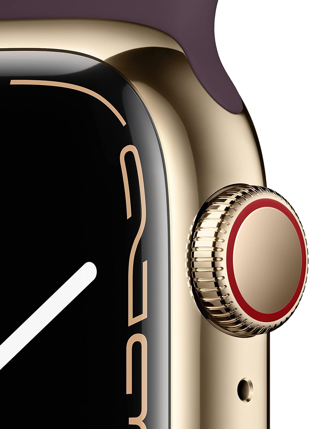 Apple Watch Series 7 GPS + Cellular, 41mm Gold Stainless Steel Case with Dark Cherry Sport Band - Regular