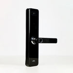 LZEL Smart Door Lock ZSN010 | 3D Facial Recognition, Fingerprint, Password, IC Card & Remote Unlock