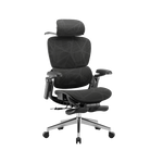 Ergonomic Office Chair – Footrest, Sliding Mechanism, Class 4 Gas Lift | Black