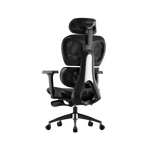 Executive Ergonomic Office Chair with Footrest & 3D Armrests | Black