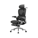 Ergonomic Office Chair – Footrest, Sliding Mechanism, Class 4 Gas Lift | Black