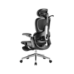 Ergonomic Office Chair – Footrest, Sliding Mechanism, Class 4 Gas Lift | Black