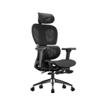 Executive Ergonomic Office Chair with Footrest & 3D Armrests | Black