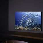 Xiaomi TV A Pro 75 2026