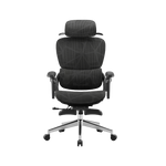 Ergonomic Office Chair – Footrest, Sliding Mechanism, Class 4 Gas Lift | Black