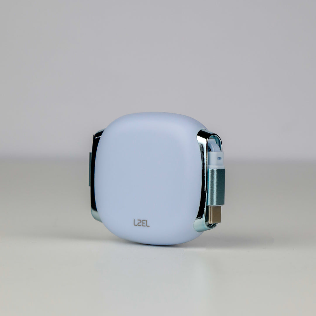 LZEL Fluxlink 100 USB-C 100W Fast Charging Cable With Data Transfer