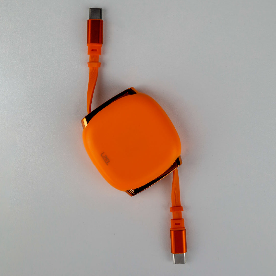 LZEL Fluxlink 100 USB-C 100W Fast Charging Cable With Data Transfer