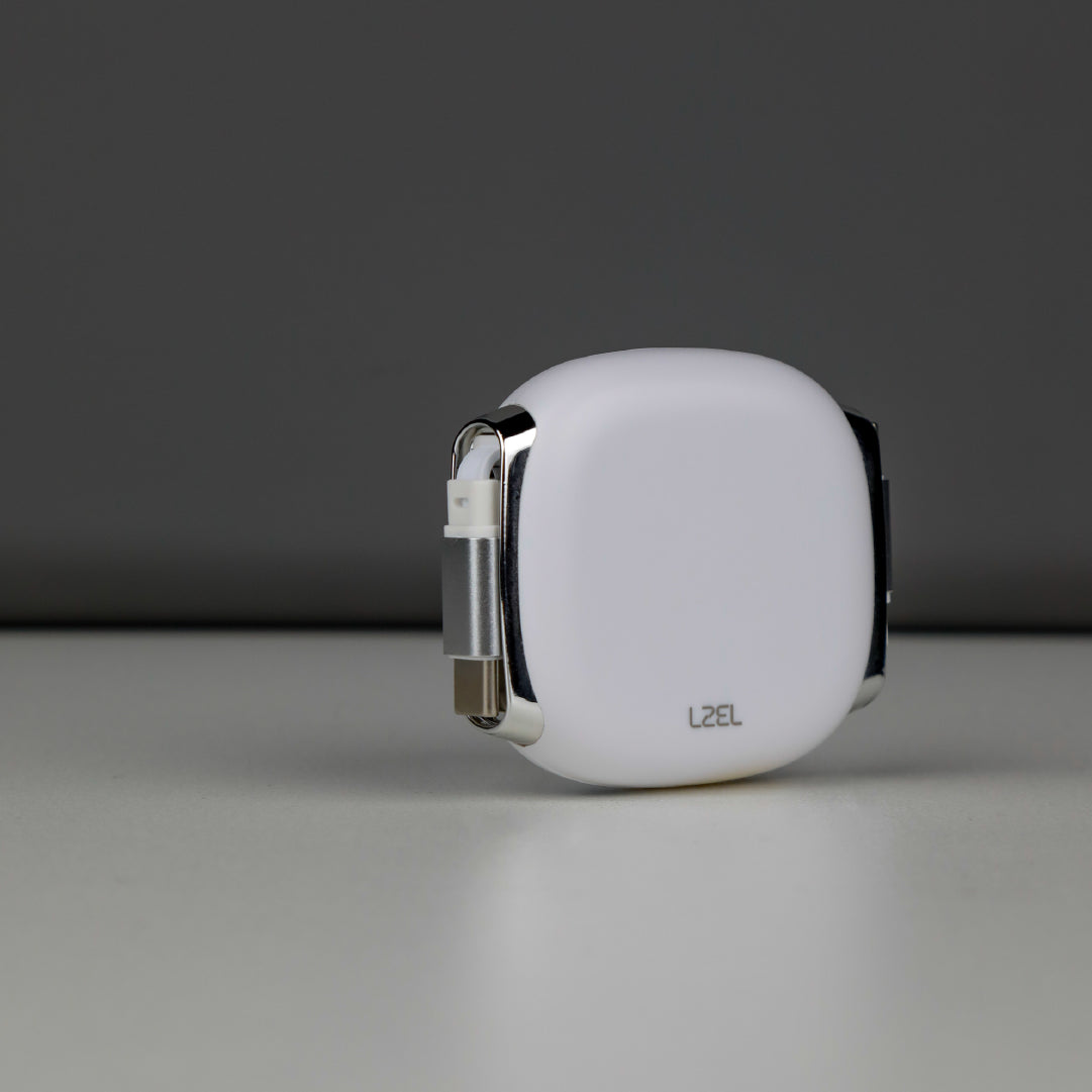 LZEL Fluxlink 100 USB-C 100W Fast Charging Cable With Data Transfer