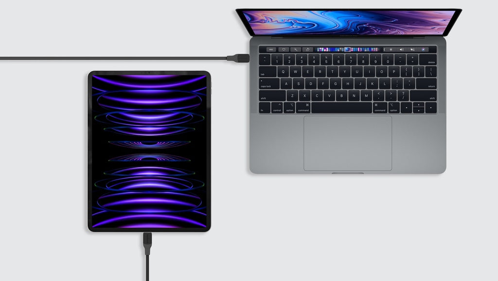 نص بديل للصورة