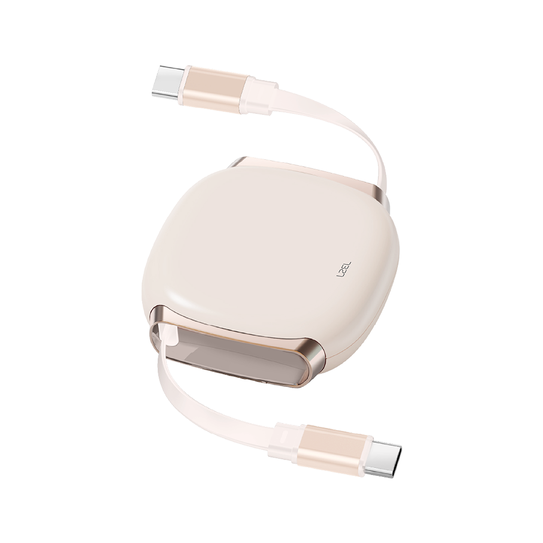 LZEL Fluxlink 100 USB-C 100W Fast Charging Cable With Data Transfer