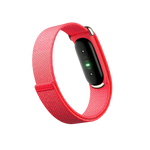 سوار متتبع اللياقة البدنية Google Fitbit Air بدون شاشة