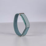 Google Fitbit Air Band
