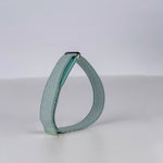 Google Fitbit Air Band
