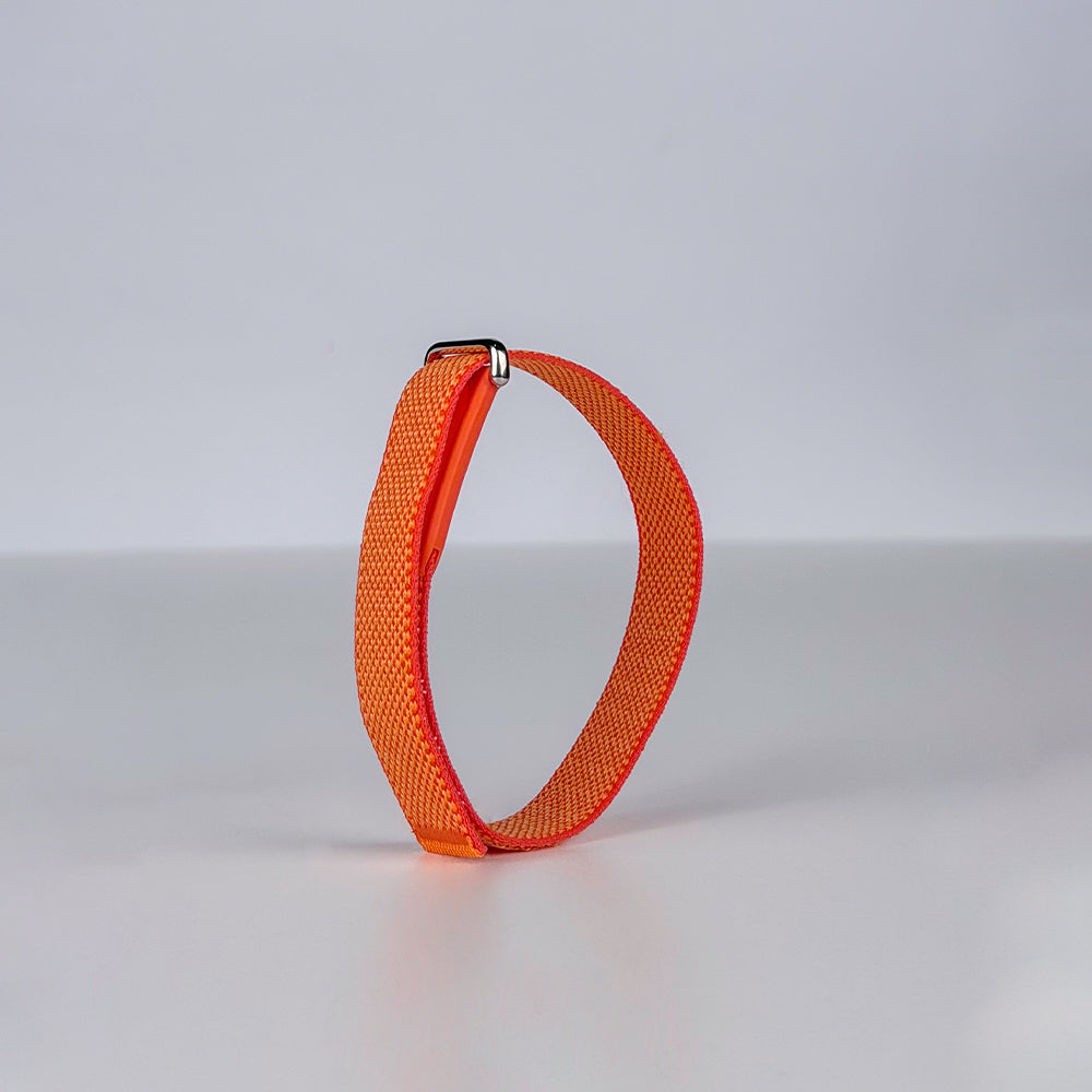 Google Fitbit Air Band