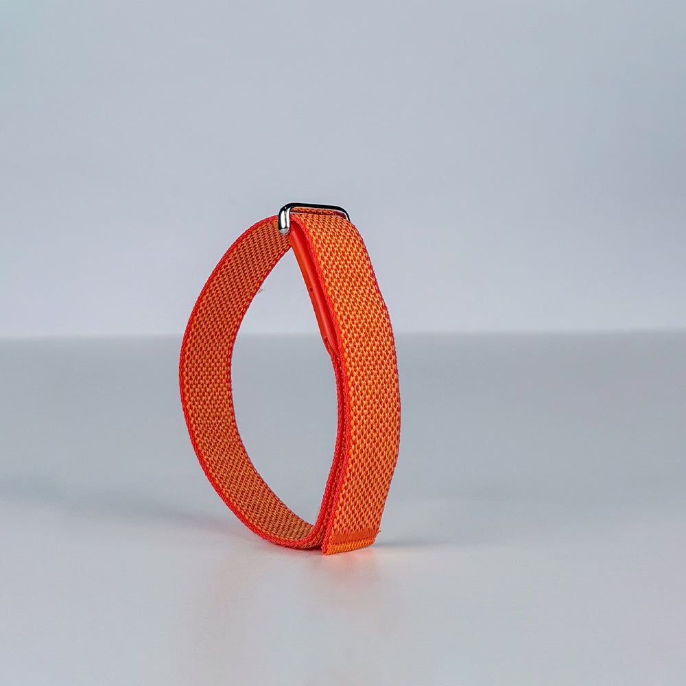 Google Fitbit Air Band