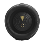 JBL Charge 5 Portable Bluetooth Speaker With Wifi | Black