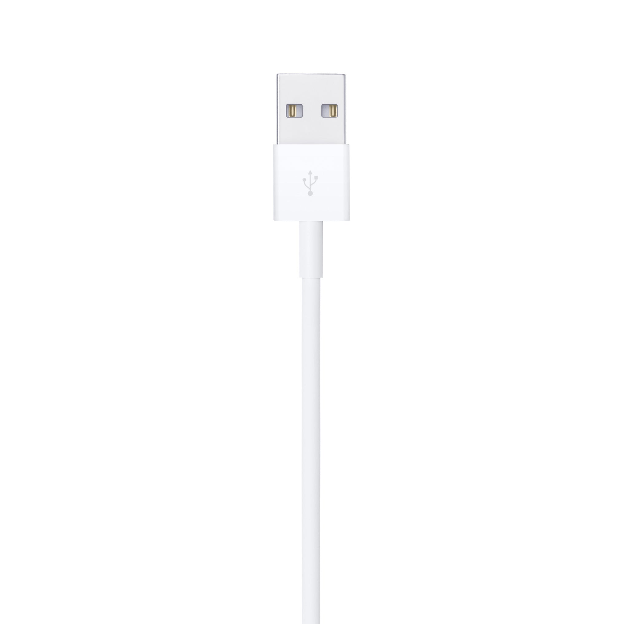 Apple 1M Lightning to USB Cable