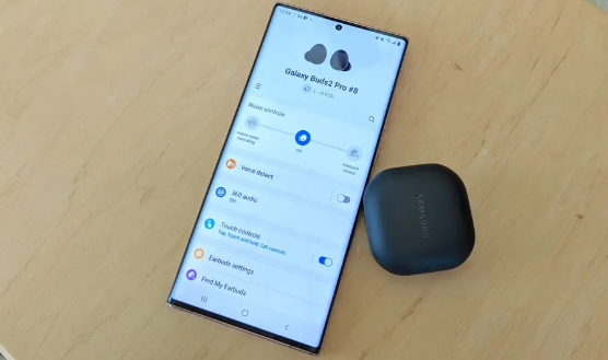 Samsung Galaxy Buds2 Pro | Garaphite