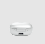 JBL Live Pro 2 True Wireless Noise Cancelling Earbuds | Silver