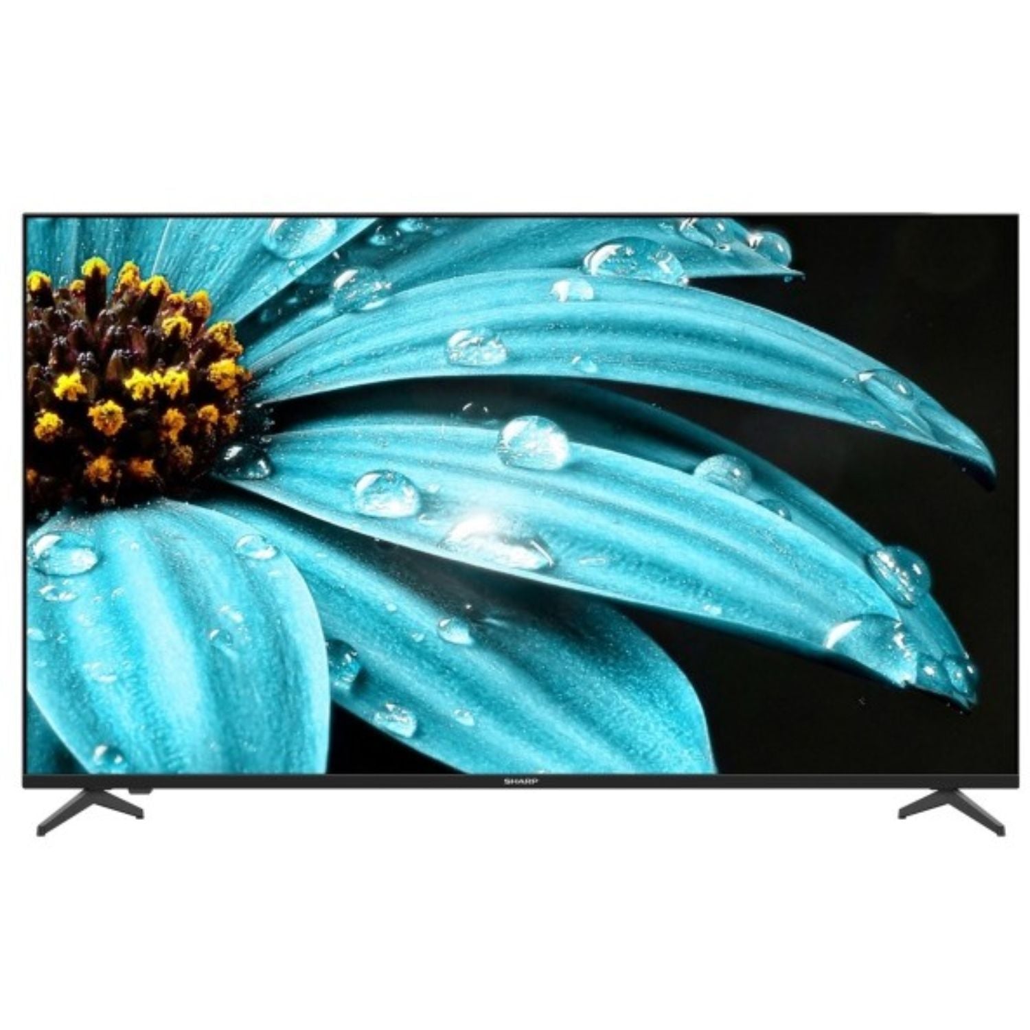تلفزيون من Sharp الذكي جوجل 65 بوصة بدون إطار بدقة 4K UHD
