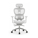 Ergonomic Office Chair – Footrest, Sliding Mechanism, Class 4 Gas Lift | Light Gray