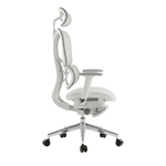 Ergonomic Office Chair – Footrest, Sliding Mechanism, Class 4 Gas Lift | Light Gray