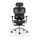 Executive Ergonomic Office Chair with Footrest & 3D Armrests | Black