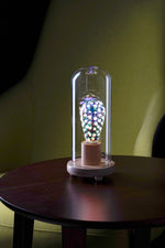 Momax Wooden Lamp Stand with Glass Cover Dome