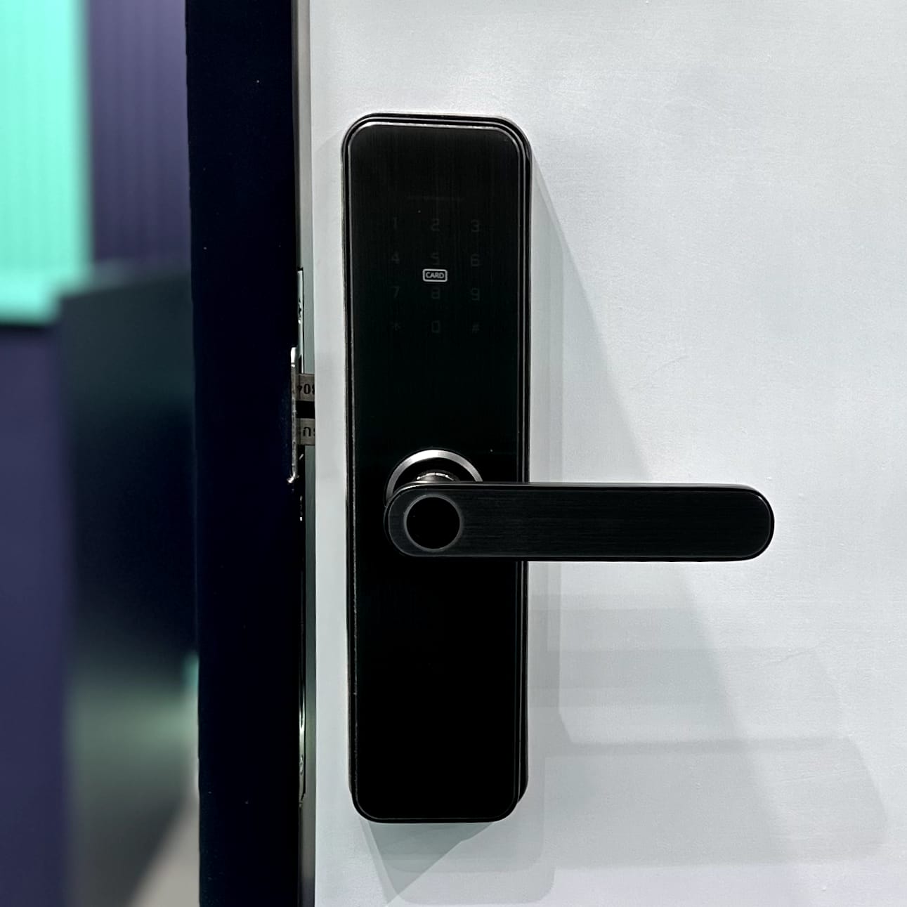 LZEL Smart Door Lock Black