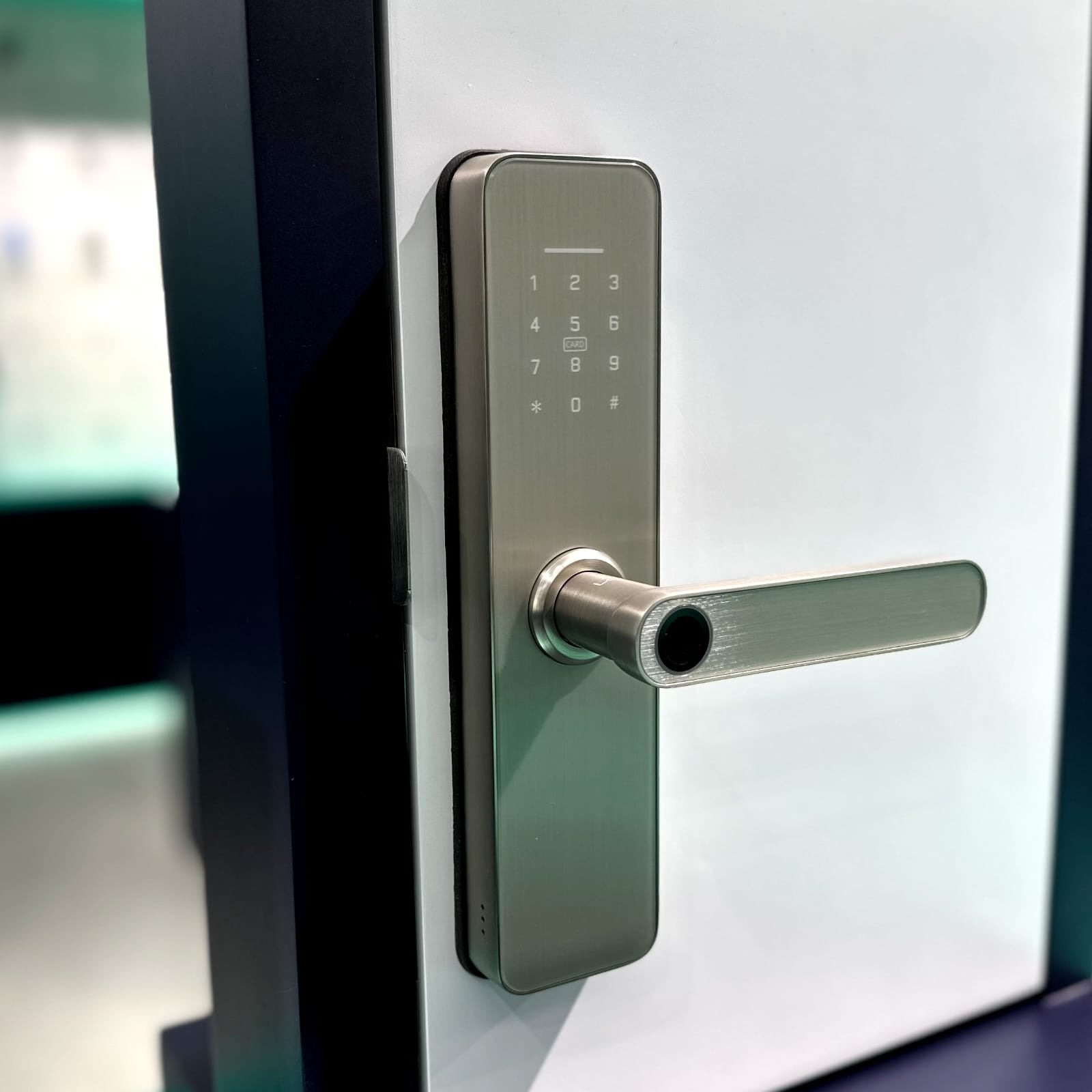 LZEL Smart Door Lock Silver