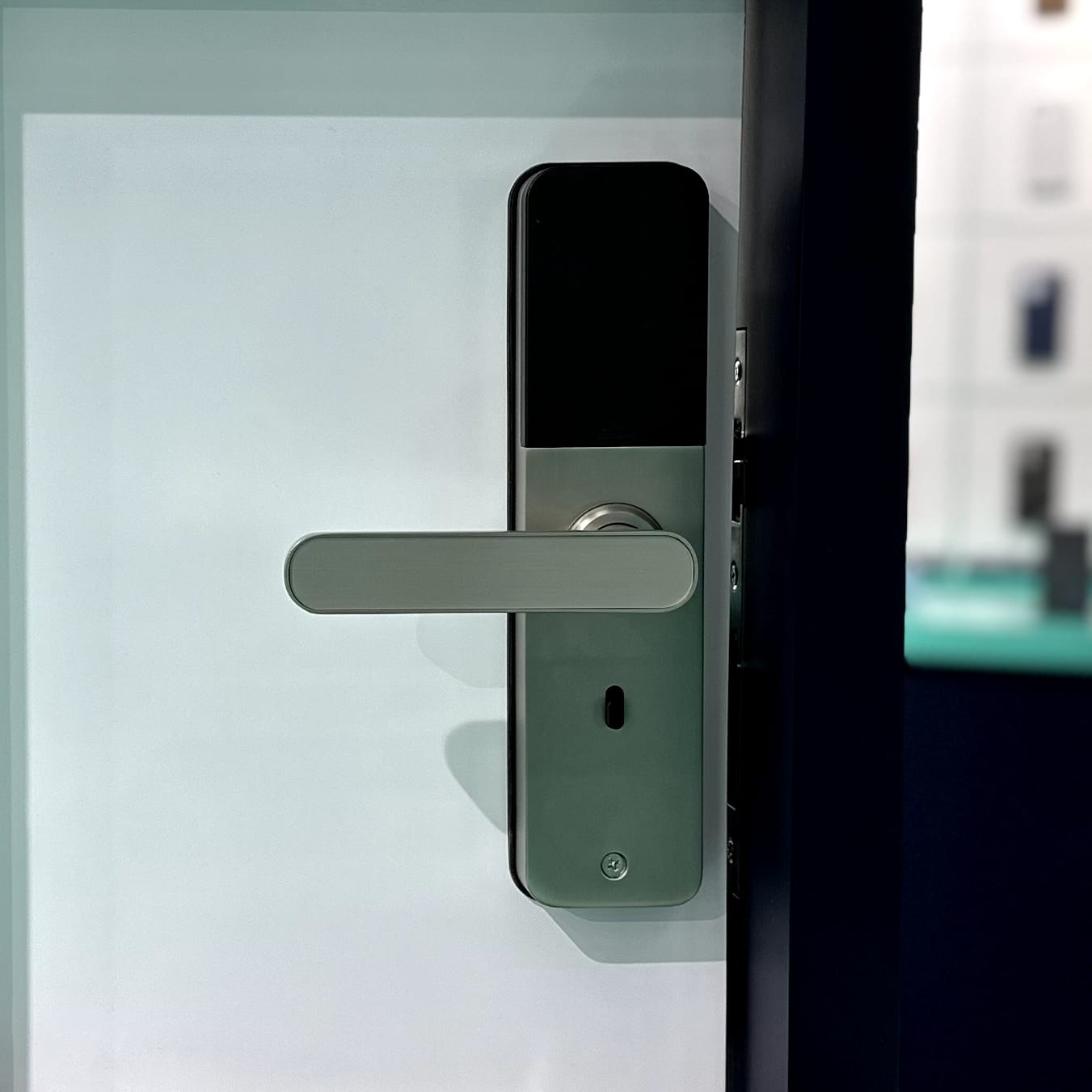 LZEL Smart Door Lock Silver