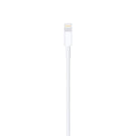 Apple Lightning to USB Cable 1M