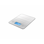 FitDays Smart Kitchen Scale | Silver