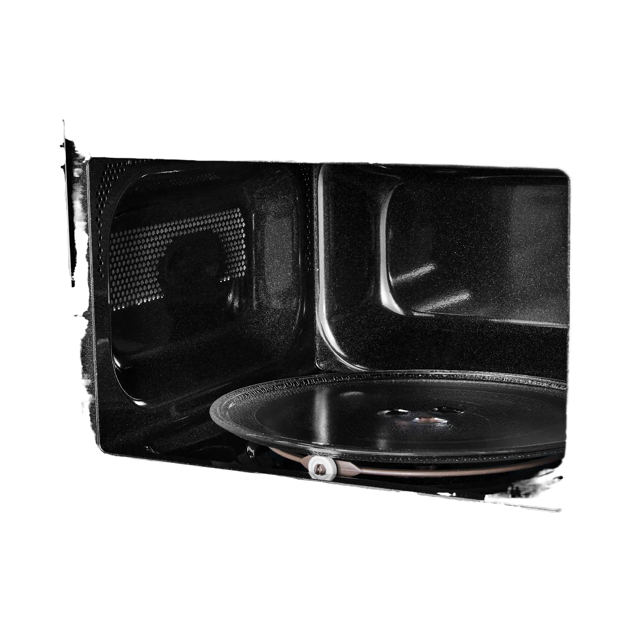 نص بديل للصورة