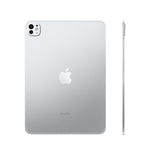 Apple iPad Pro (M4) - 256GB - WiFi - 11 inch - with Standard Glass | Silver