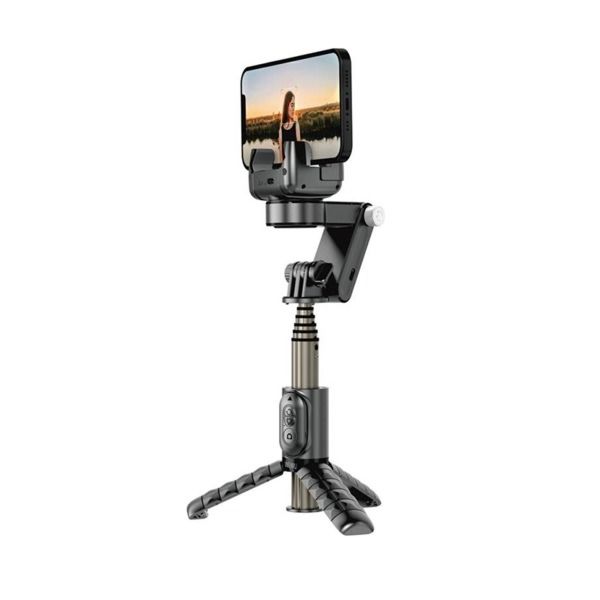 Wiwu Detachable Tripod Selfie Stick (WI-SE006)