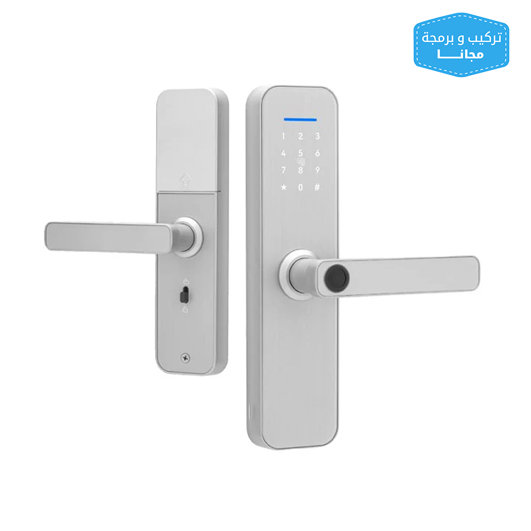 LZEL Smart Door Lock Silver